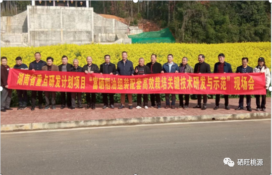 桃源縣召開富硒稻油高效栽培技術(shù)現(xiàn)場(chǎng)會(huì)